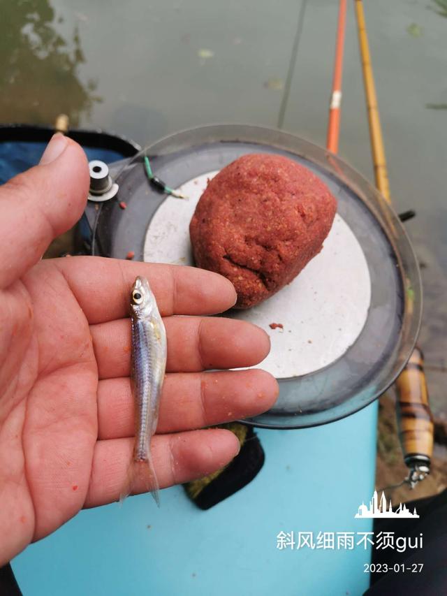 |北风呼啸寒风凛冽,通杀腥助我通杀小杂鱼