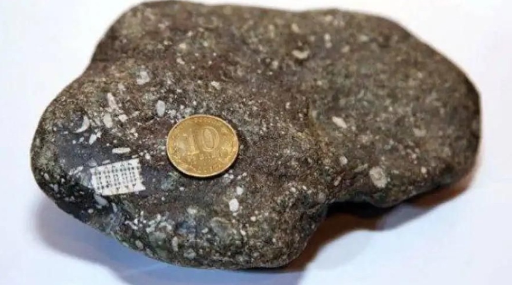 2.5亿年前“芯片”化石被发现，这么说，人类不是首个地球文明？