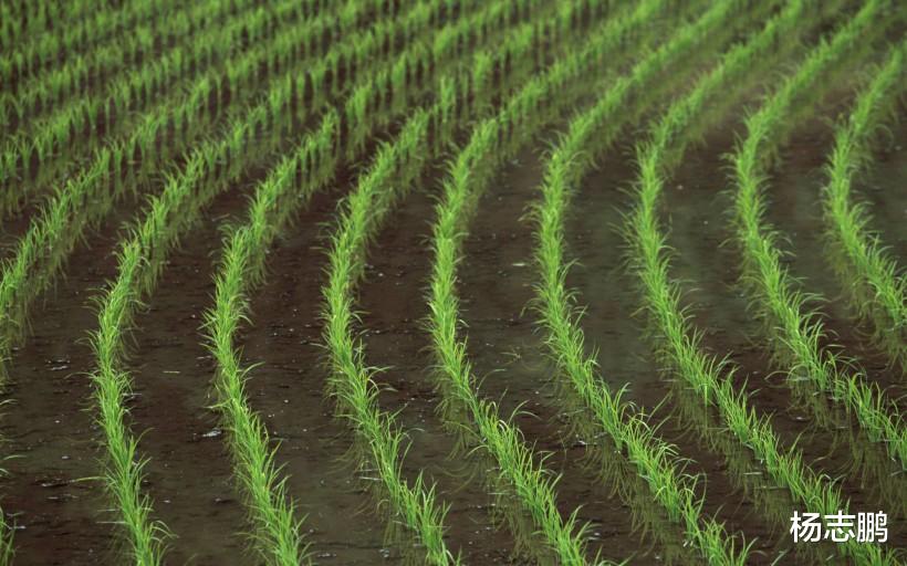 穿衣搭配|8月份，好运连连，财势极好，发横财的3个星座