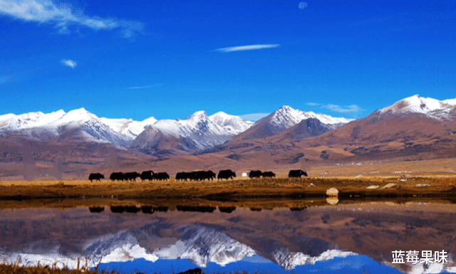 普陀|把雅鲁藏布江水引入塔里木盆地会如何？造出超过青海湖30倍的大湖