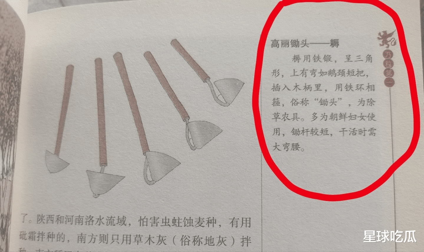 连锄头也偷!少儿名著宣扬高丽锄头 中国传统农具竟源自韩国