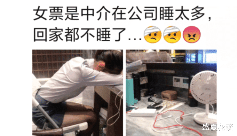 南瓜|“女朋友在公司睡太多,回家都不睡觉了...干中介的心酸泪”