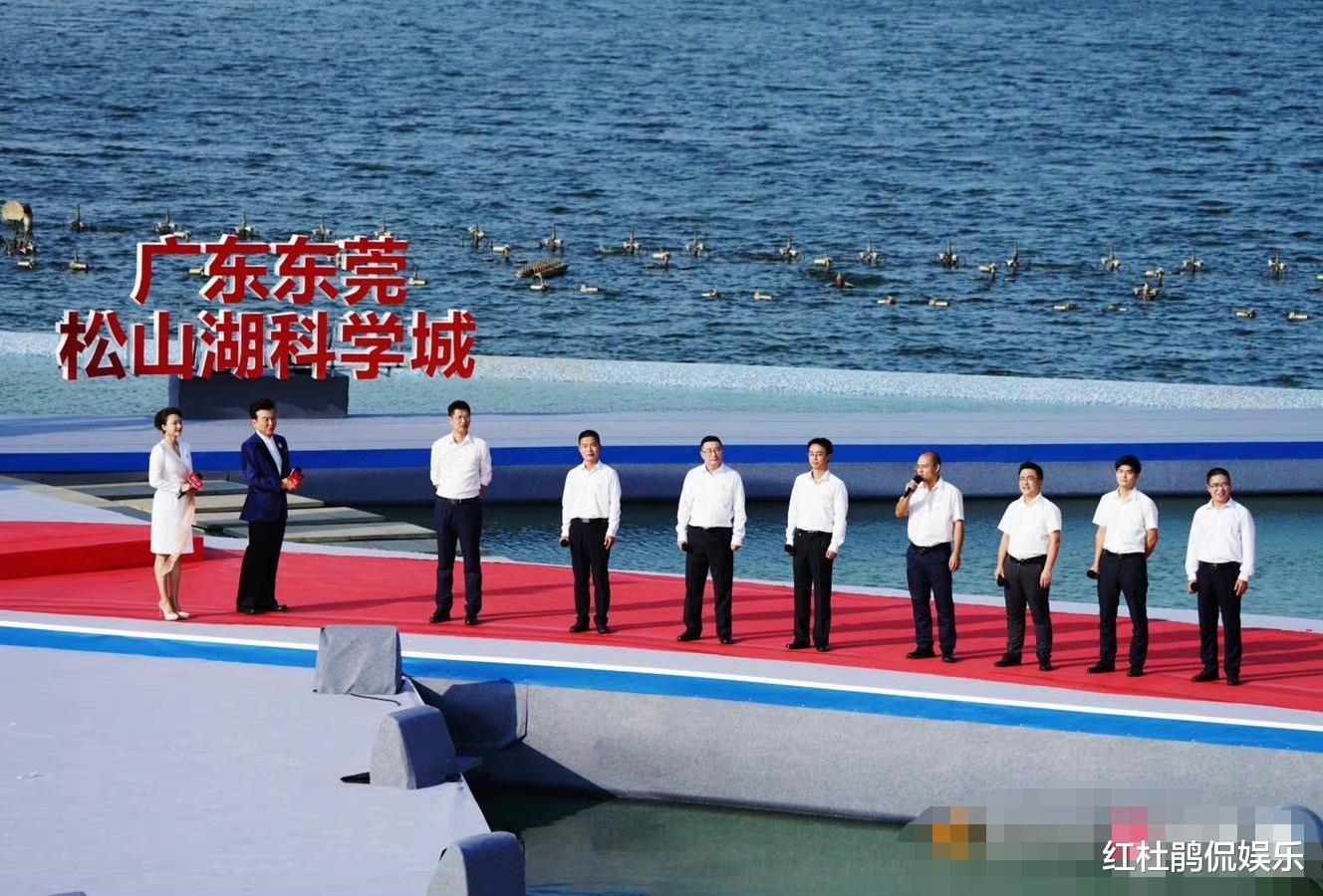 张蕾|央视主持人张泽群张蕾搭档主持志愿者协会文艺演出，状态好有默契