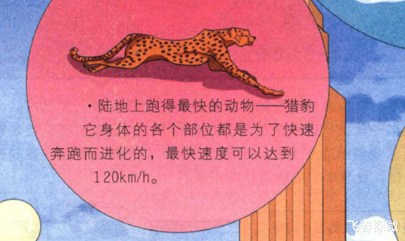 人最快能跑多快?科学家预测出了人类终极速度