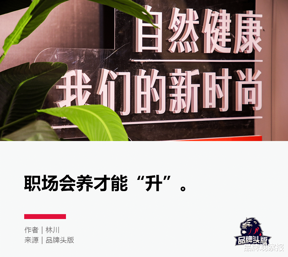 金牛座|破解职场健康痛点,Swisse斯维诗做了一件大事