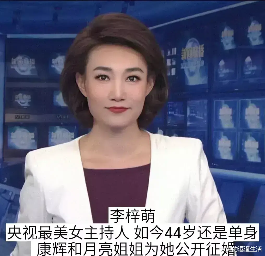主持人|万万没想到，这些央视主持人，竟然都没结婚！为了追求，为了卓越
