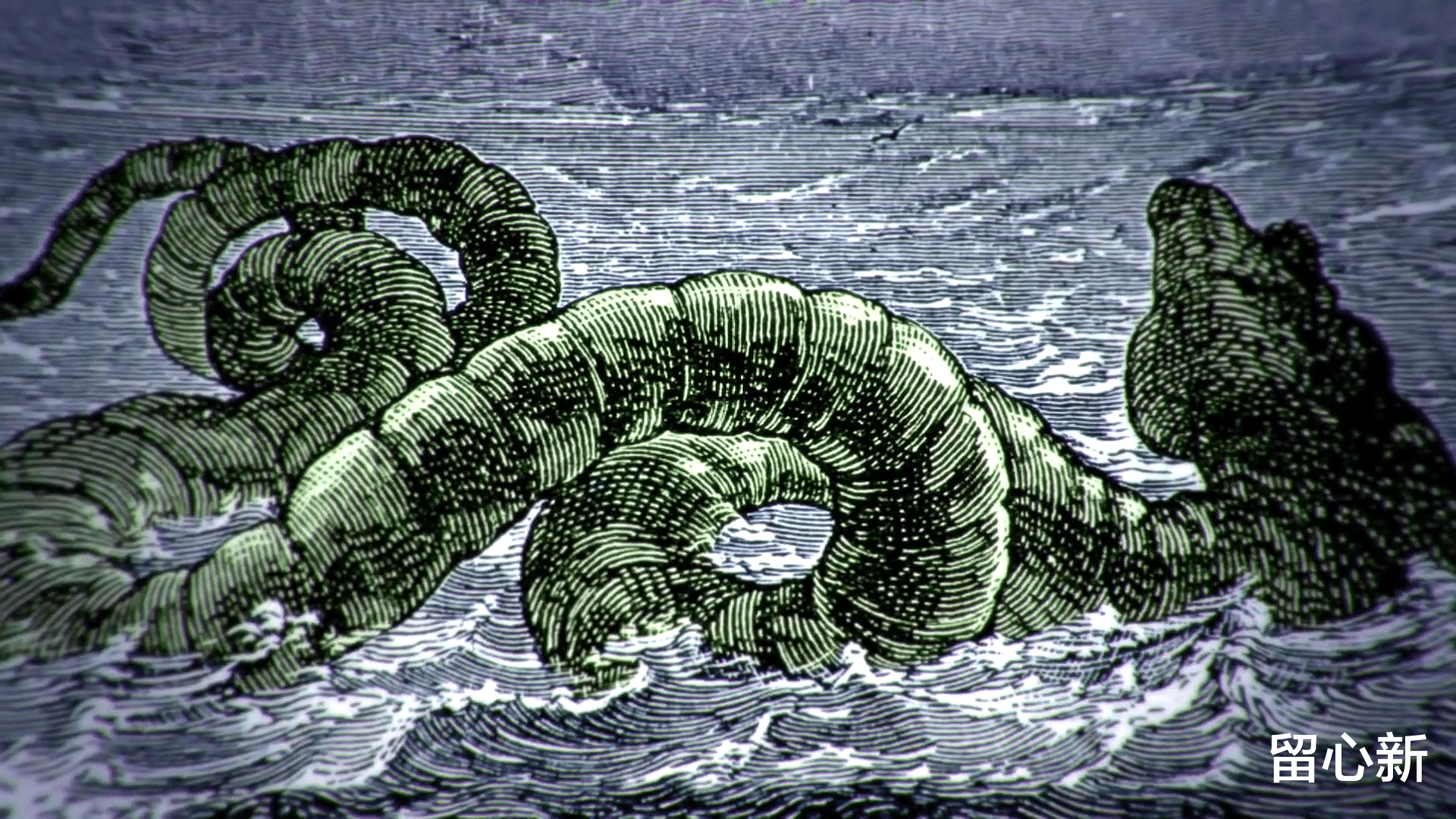 加拿大湖发现神秘“水怪”,游动时出现奇怪波浪,它到底是什么?