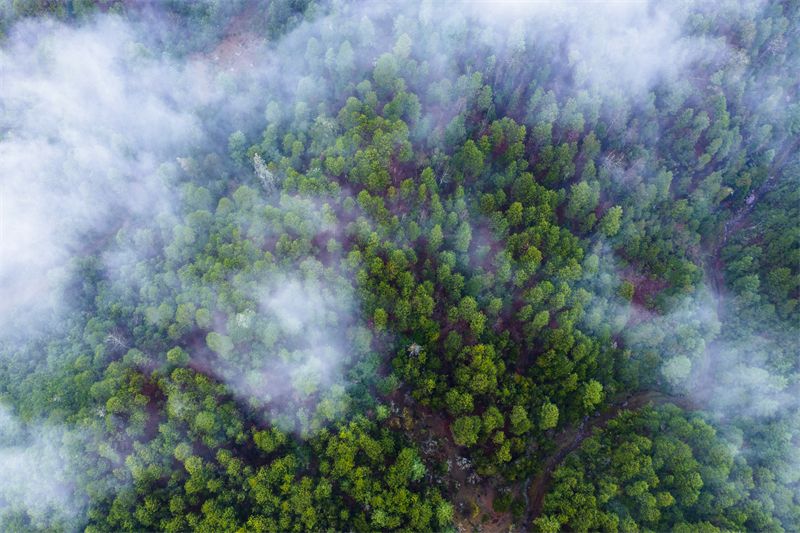 怒江|夏日怒江,别样的景色别样的热情