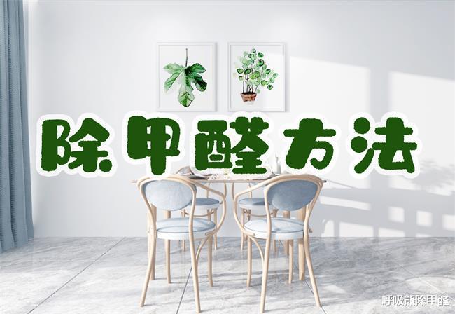 两周除甲醛，全靠这几招！