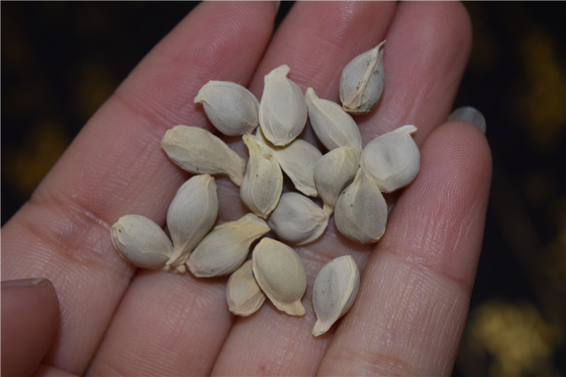 为什么有的女士备孕一年没怀上,抛开男的问题不说