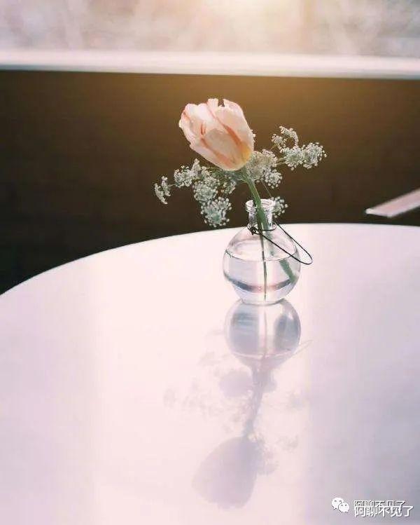 |如何开启高层次的说话？