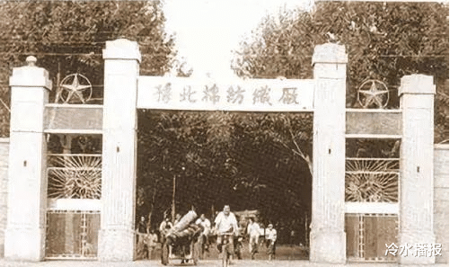 80年代初,安阳纱厂院花离奇失踪,病人积极打扫厕所暴露藏尸点