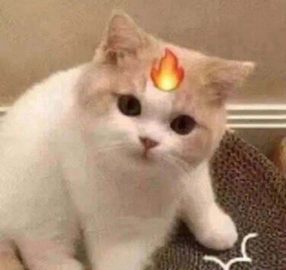 李云迪|李云迪正式复出!嫖娼被抓后人间蒸发欠债百万,曾当街小便婚内出轨多位美女!