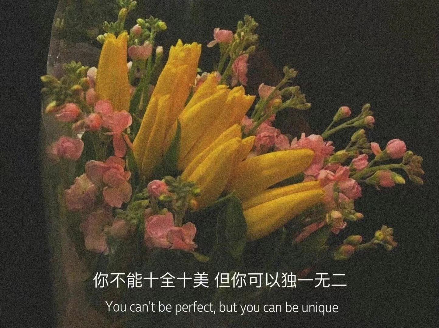 魅族|小众高级感文案