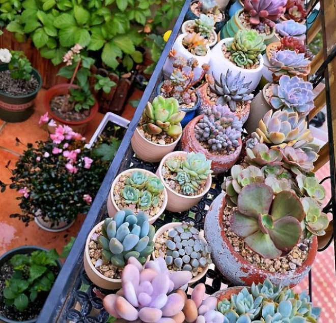 都说顶楼不好,买188平顶楼复式送大露台,玄关就足够把人迷住!