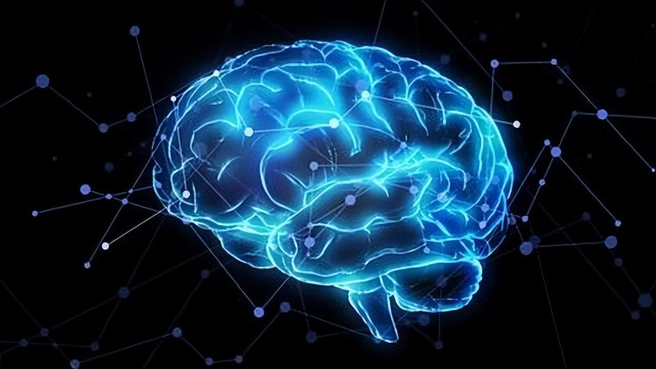 科学家表示，宇宙可能是个巨大的生命体，从人体大脑就可解密答案