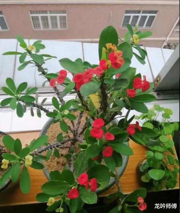 龙吟师傅:婚房要注意的三大事项