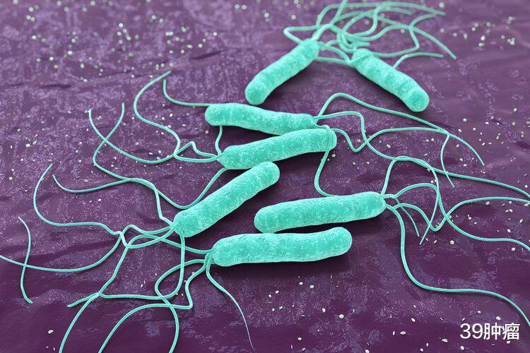 |血型能决定寿命吗?A型、B型、O型、AB型,癌症更喜欢找上哪种?