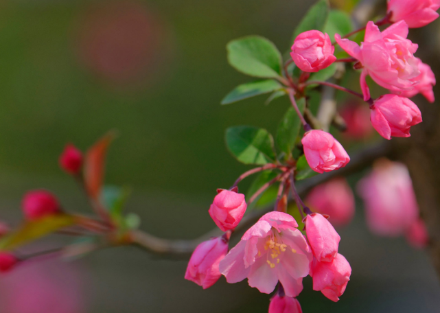 生肖|今年五月份,3生肖盈门接喜,财气增强,事业持续进步,幸运连连