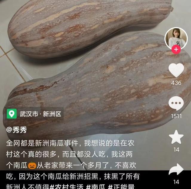 新洲南瓜事件:当地人称南瓜在本地多的是,都没人去吃,不至于偷