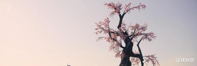 王小石|《说英雄》首播：主角演技引热议，杨超越令人惊喜，打戏评价两极