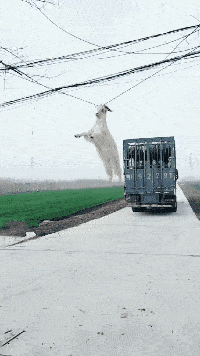 “好不容易把房贷车贷给还完了,你要让我重新还一遍?”