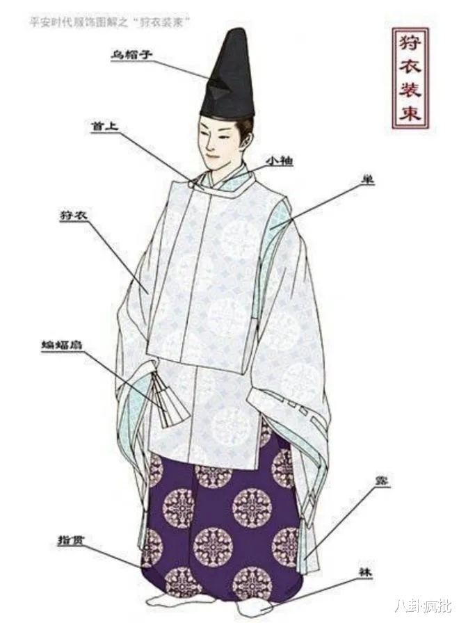 辣目洋子|媚男被女观众抵制，新剧下架，辣目洋子真翻车！