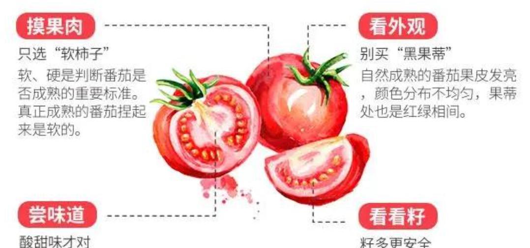 西红柿为何没有以前好吃了?科学家给我们讲出了实情