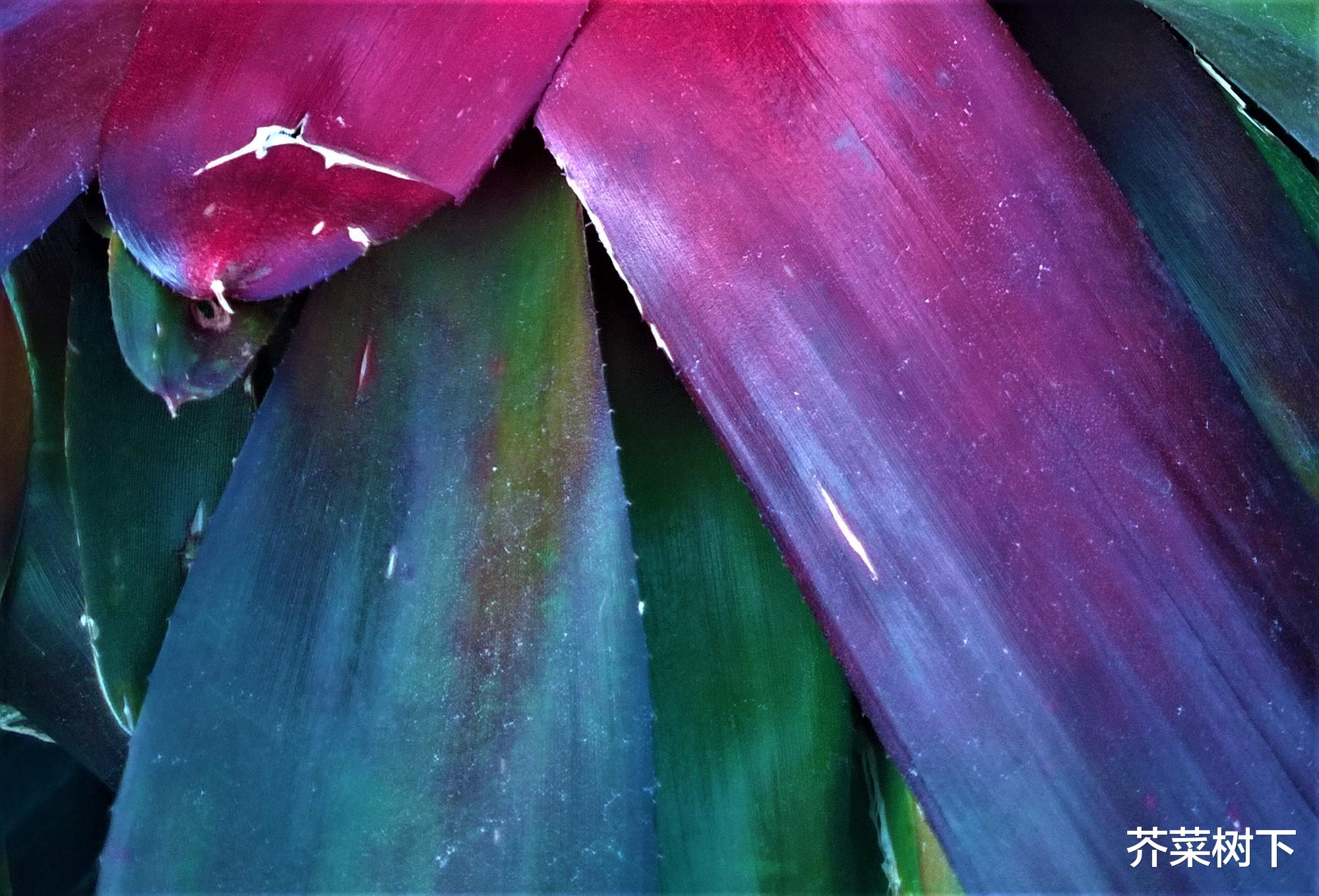 薪酬|职场做事，我们为什么不专一？