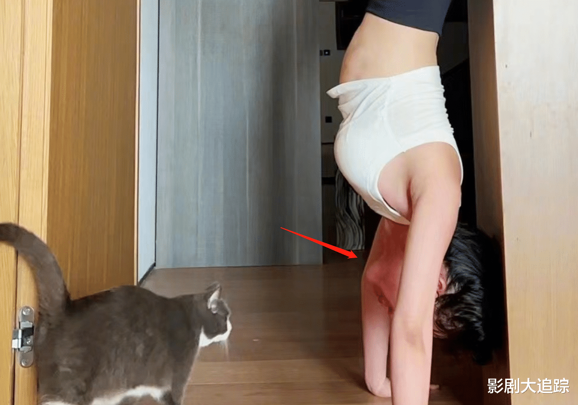 田朴珺|“王的女人”田朴珺家中倒立!翘臀细腰很养眼,猫猫陪伴太温馨