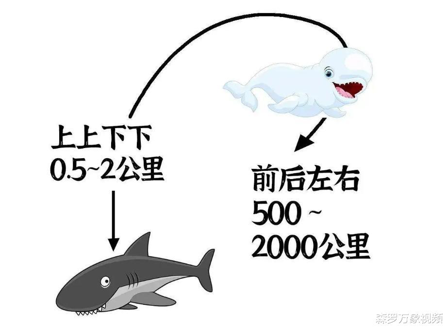 活到156岁才可交配，因为太懒为了吃饱饭，它们献祭了自己眼睛