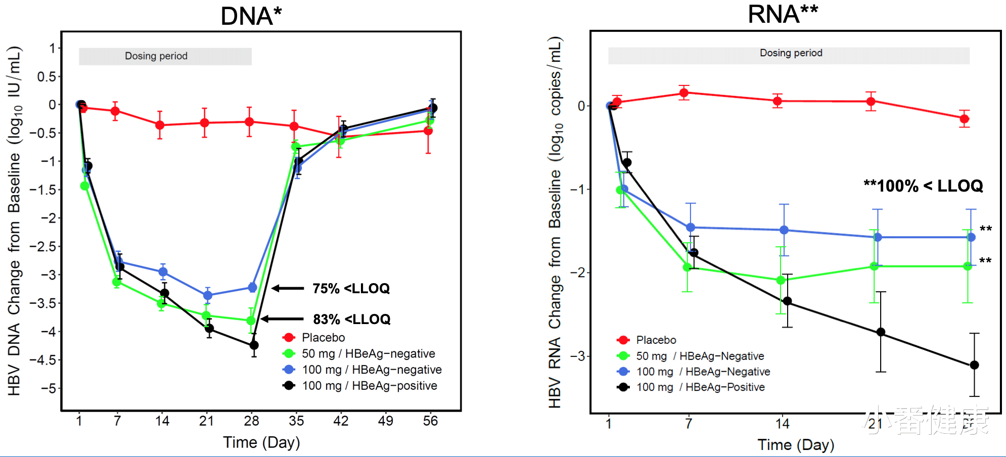 乙肝|乙肝CAMs新药研发，一类引起正常衣壳，另一类引起异常衣壳结构