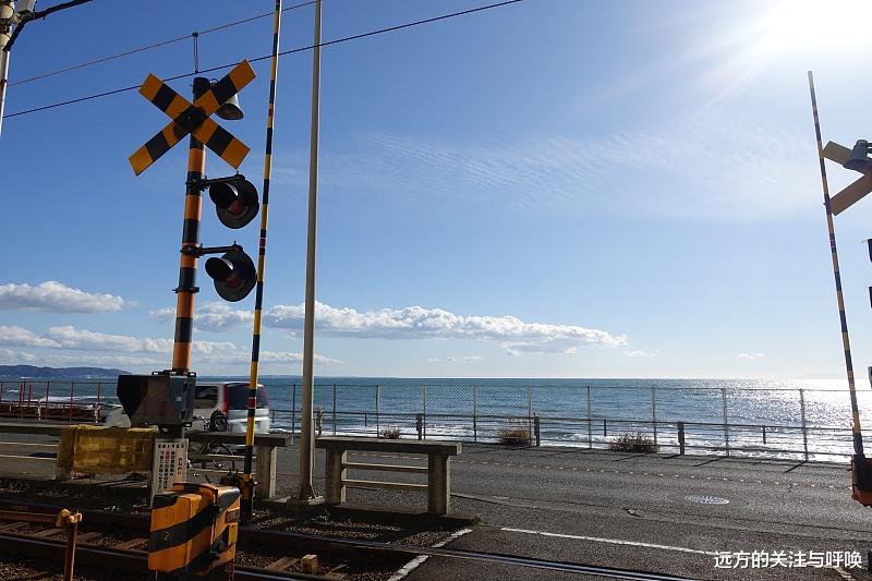 灌篮高手|灌篮高手2022电影版:一场具备生命意义的等待