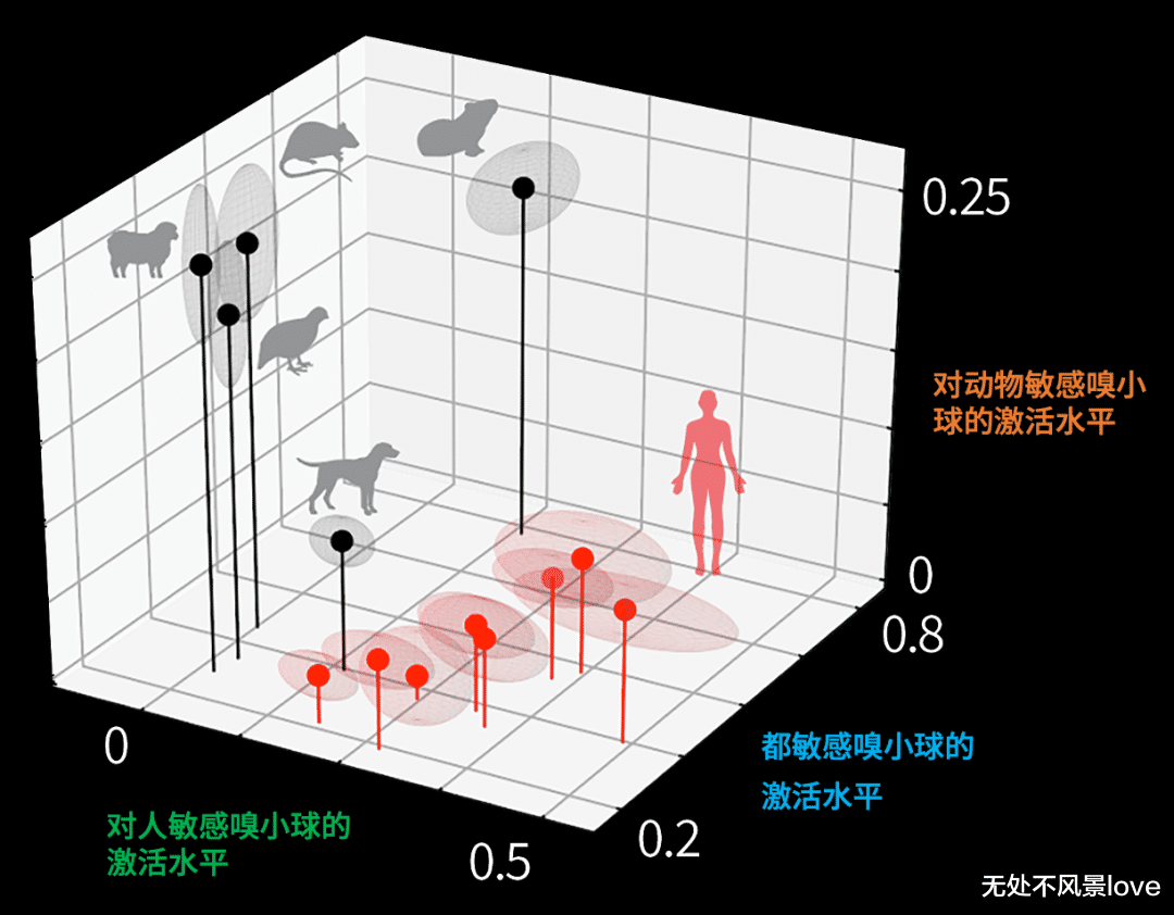 博士用自己的血一天喂3000只蚊子,终一作发Nature揭示“蚊子怎么只咬你”