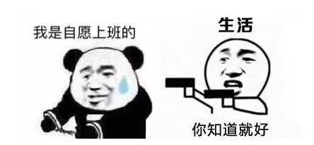 |不干了！我和领导吵架的 5 大理由