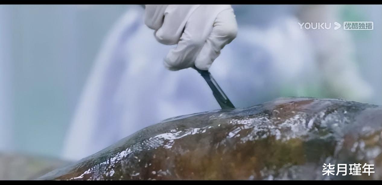 安然|《法医秦明之读心者》：人设与原著不符，感情线推进过快，太失望