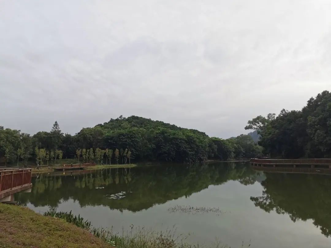 遵义|从平湖生态园到甘坑河碧道：徒步新线路