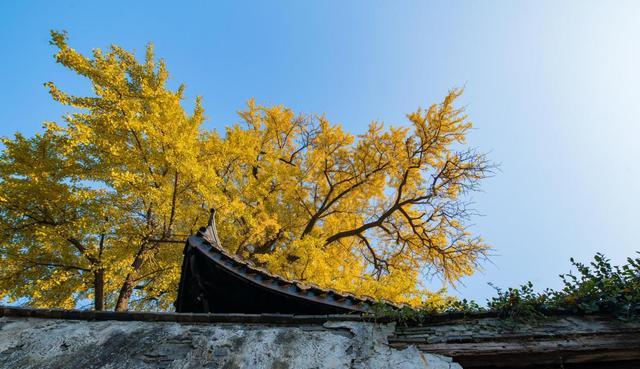 惠山古镇|想看最原汁原味的惠山古镇祠堂?解密海瑞上疏请建的顾可久祠堂