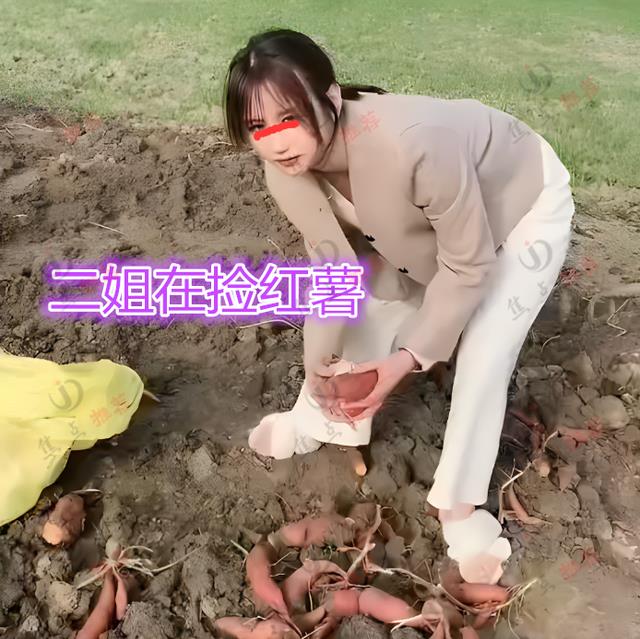 3个貌美女子嫁不掉,在家挖红薯,网友:3个我都喜欢,愿意倒插门