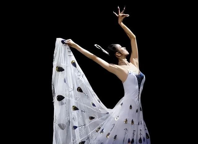 演唱会|云艺一女学生晒毕业舞蹈，被杨丽萍“翻牌子”，本人回应叫人失望