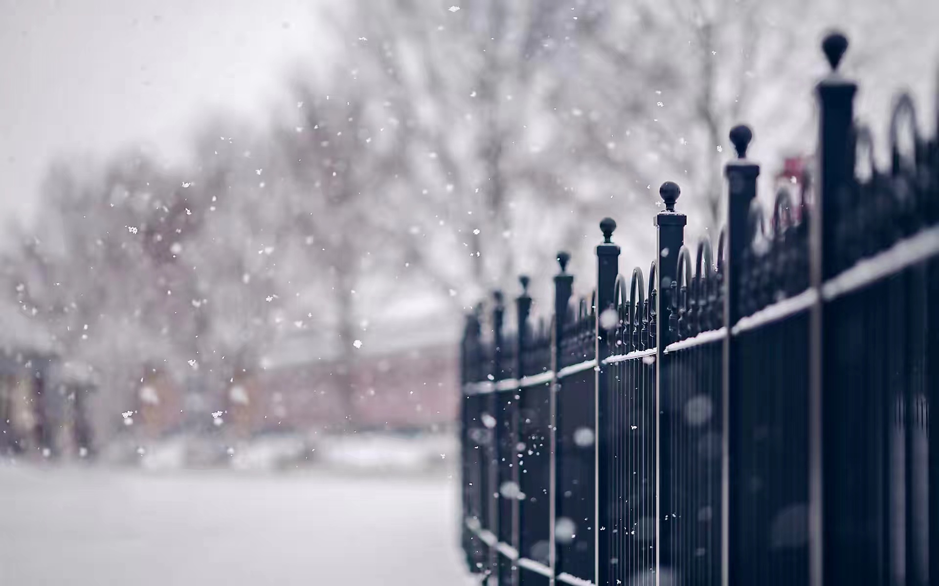 |冬天来临，大雪皑皑的景象充满诱惑 充满魅力