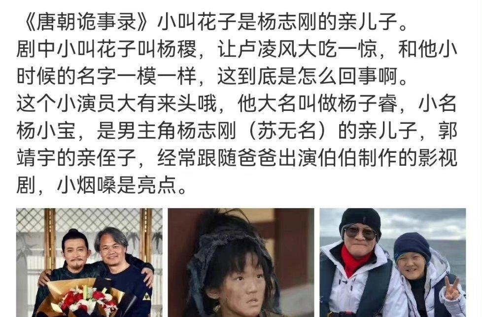 杨志刚|唐朝诡事录都是关系户：男主是弟弟，公主是老婆，小叫花子是侄子