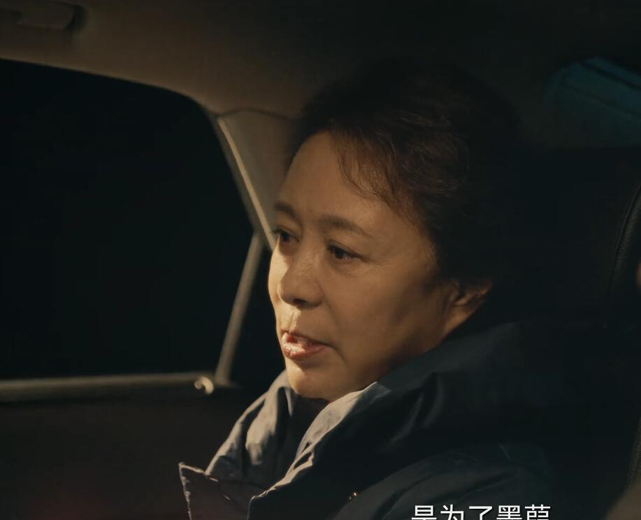 促醒者|《促醒者》悬疑升级,九院四派势力暗斗,韩西林身世成谜