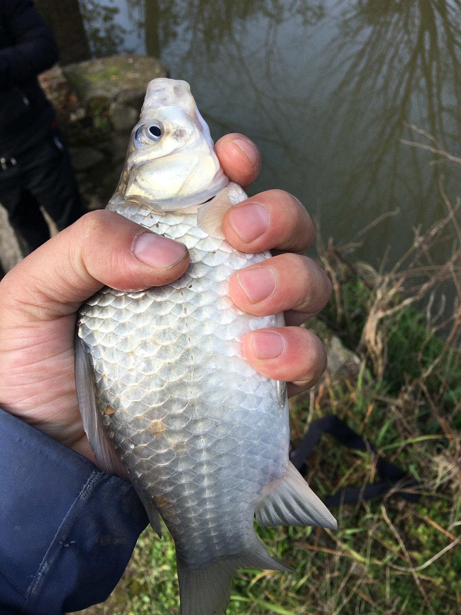 江景|渔乐杂谈：盛夏垂钓必须注意的四个重要环节
