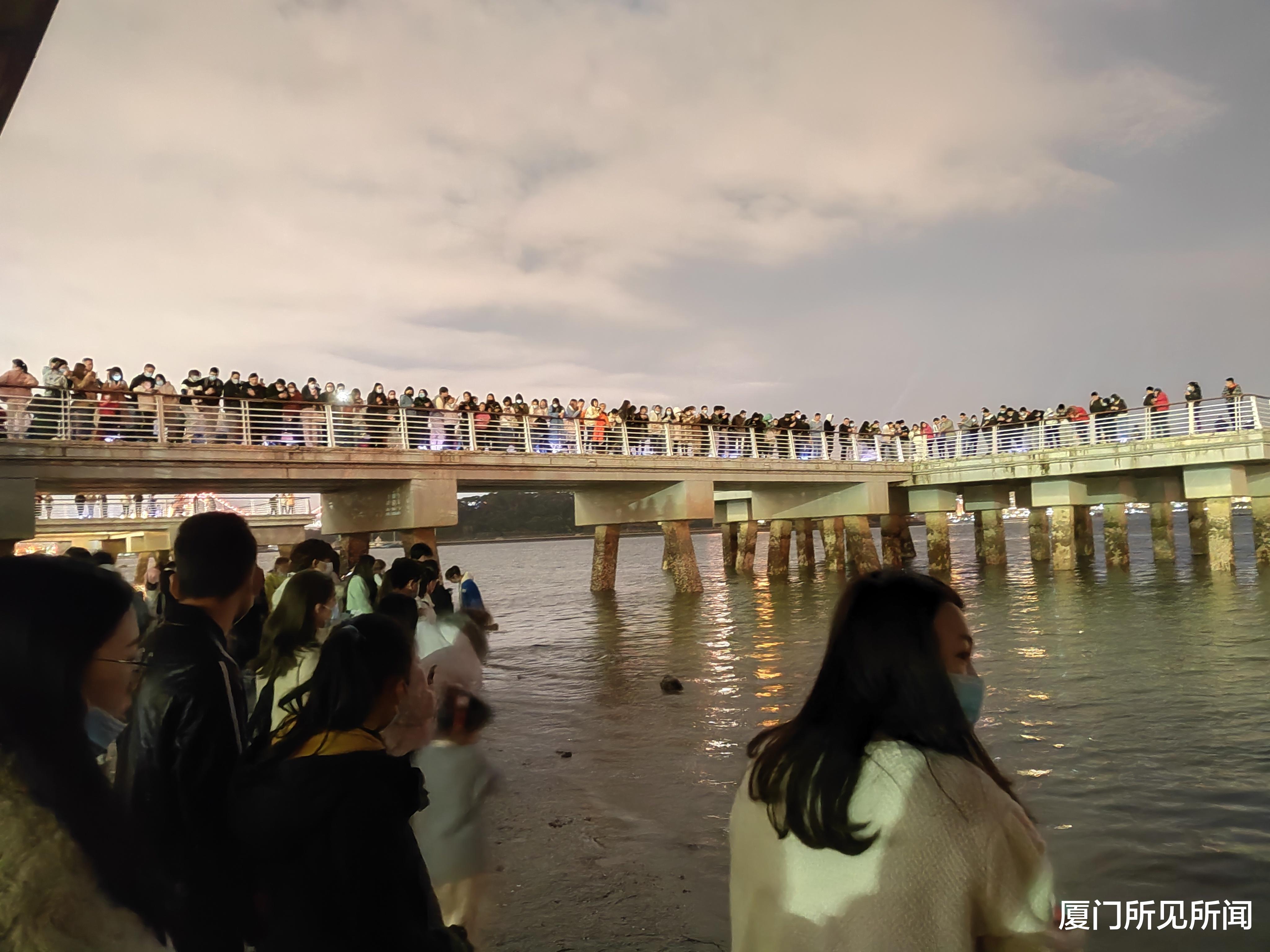 蓝眼泪|当“蓝眼泪”奇观遇上情人节，厦门原来是如此浪漫的一座城市