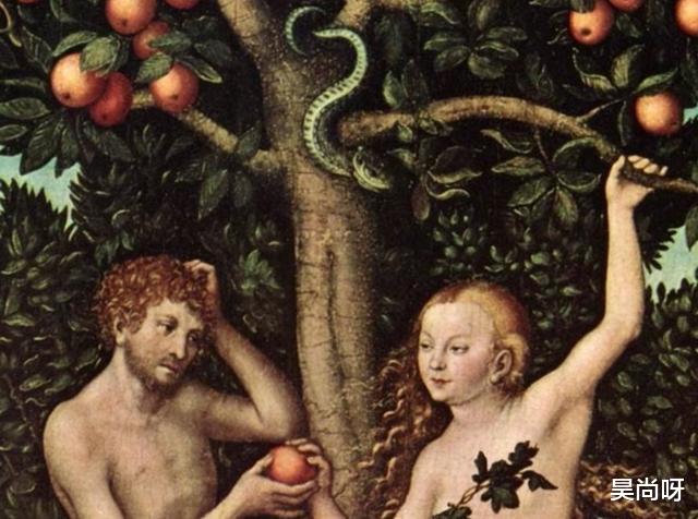 传说中的“鸡冠蛇”，毒性比眼镜蛇还强，现实中真的存在吗？