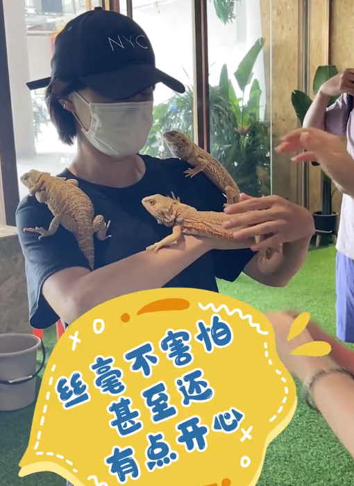孙俪|孙俪徒手抓蛇好大胆，身上挂三只蜥蜴，一旁邓超被吓破胆直呼救命