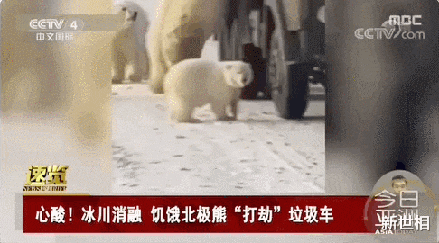受不了了,别让她死于这场高烧