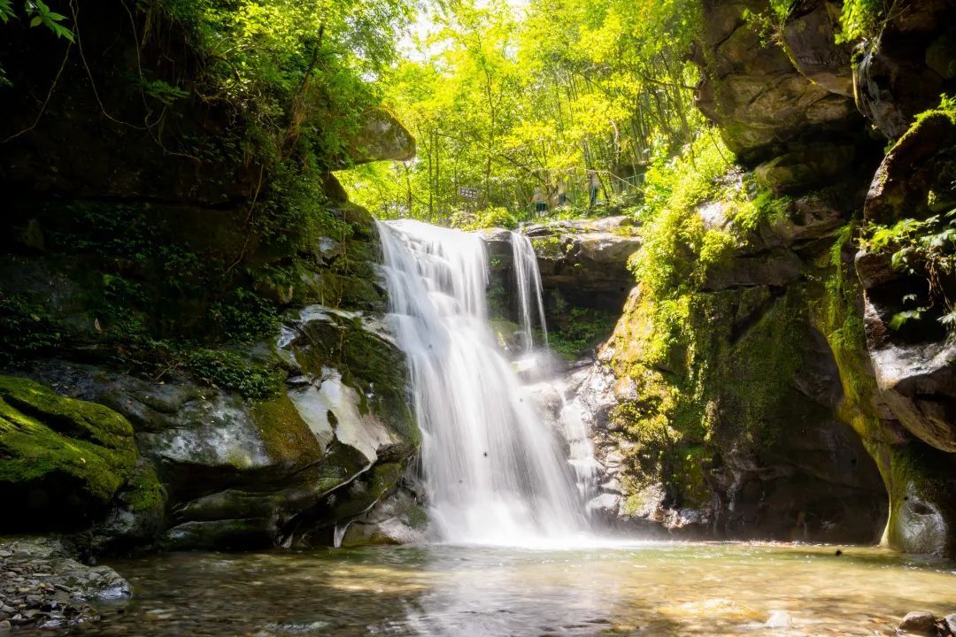 蹦极|周洛大峡谷夏季团建出游