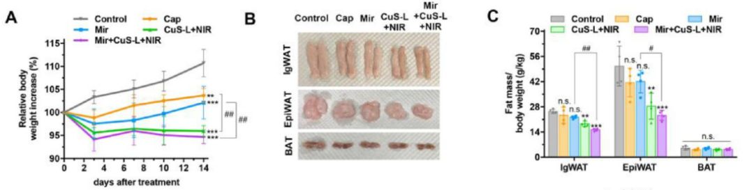 射手座 躺着也能瘦?新型光热+药物疗法,轻松减重15%,燃烧40%以上脂肪